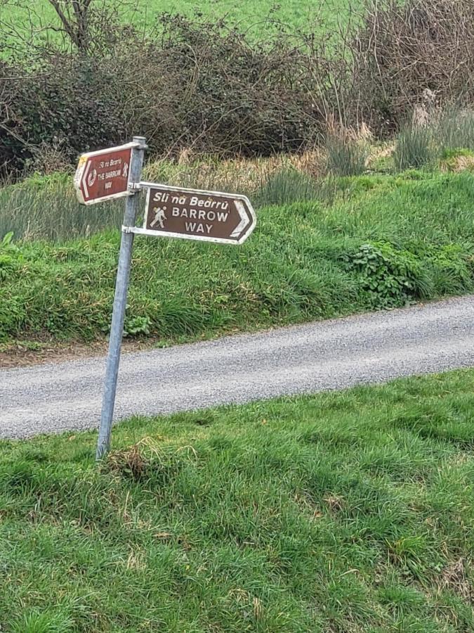 Fearmore View Kildare Kültér fotó